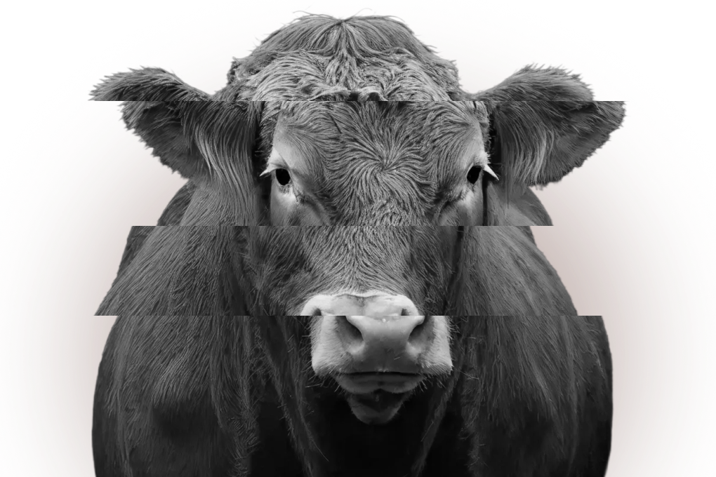 Сельское хозяйство